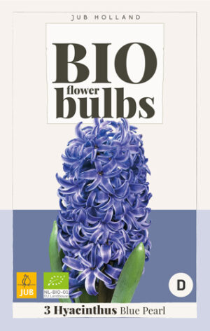Hyacinthus Blue Pearl BIO