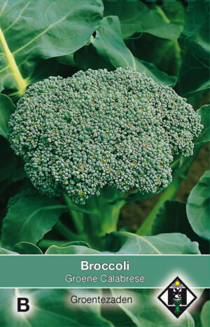 Broccoli Groene Calabrese
