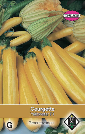 Courgette Yellowstar F1