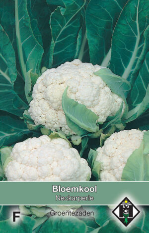 Bloemkool Neckarperle