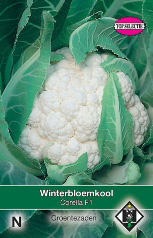 Winterbloemkool Corella F1