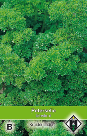 Peterselie Moskrul / Peterselinum