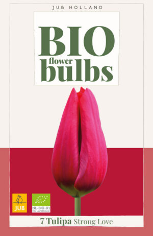 Tulipa Strong Love BIO