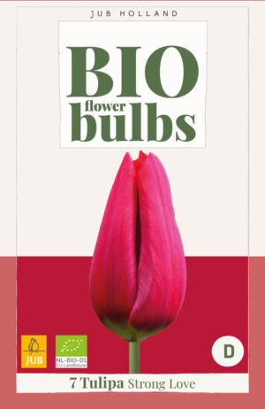 Tulipa Strong Love BIO