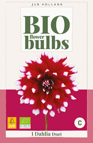 Dahlia Duet BIO