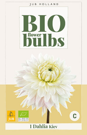 Dahlia Kiev BIO
