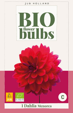 Dahlia Menorca BIO