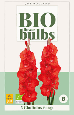 Gladiolus Bunga BIO