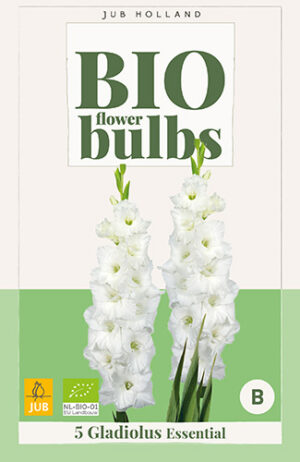 Gladiolus Essential BIO