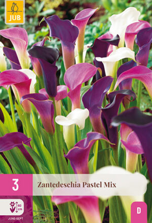 Zantedeschia Pastel Mix