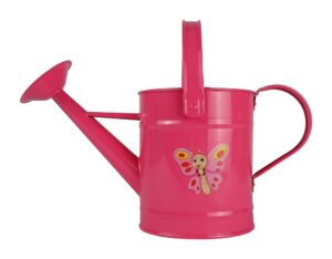 Kindergieter Vlinder