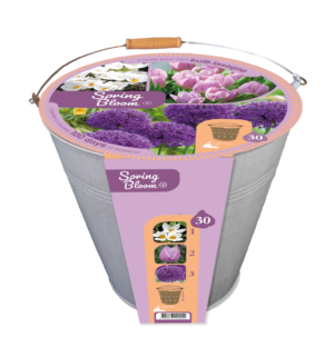 Emmer Spring Bloom